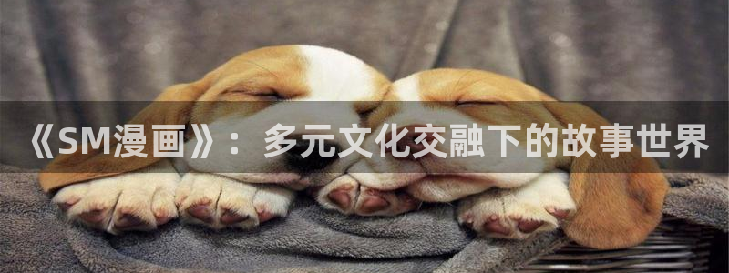 星掠者妖精动漫免费观看：《SM漫画》：多元文化交融下的故事世界