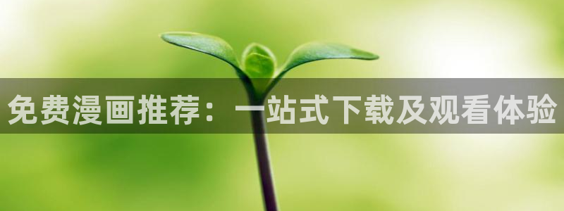 异世界的勇者妖精动漫：免费漫画